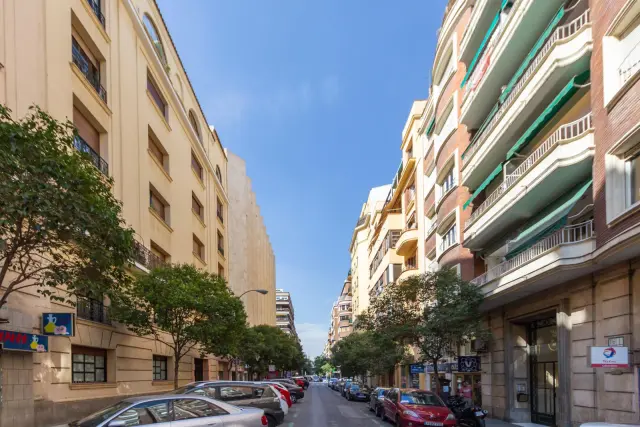 studio in Ibiza (Retiro) 1