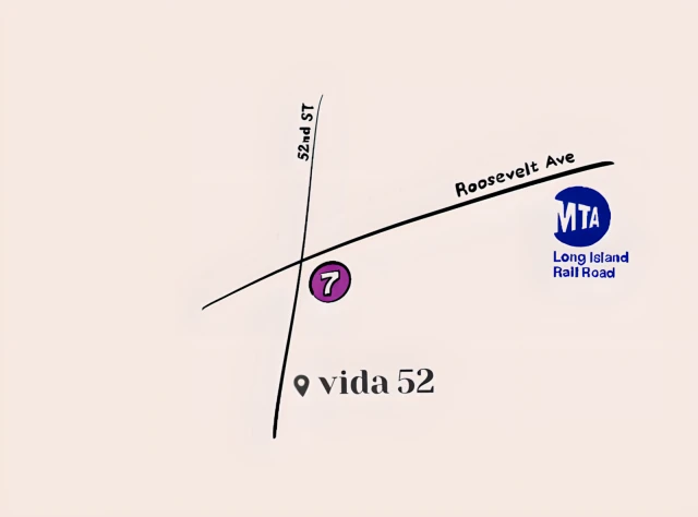 vida 52 1