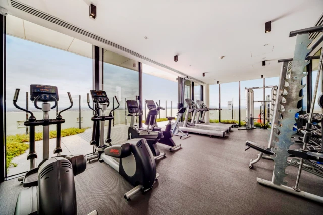 apartment near Mckenzie Street 1