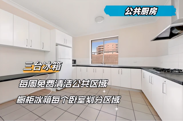 311-313 Anzac Pde(047) - Sydney student accommodation - Level1-single room*04707