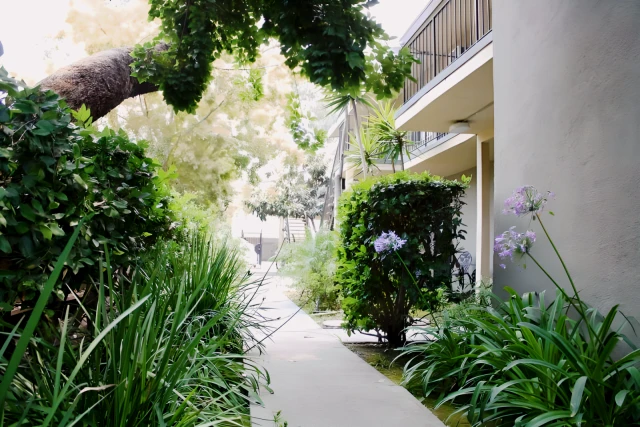 2356 Portland St. - Los Angeles student accommodation - Courtyard