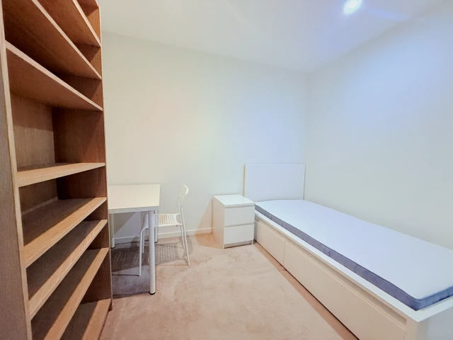 5 Sutherland Street 4