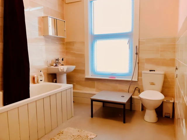 Brudenell Street 24216# 3