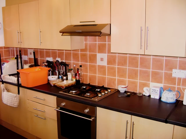 Royal Park Mount 24207# 4