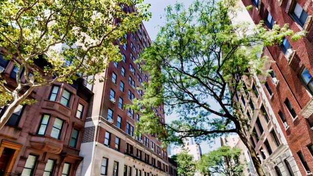 Parc Coliseum Apartments 2