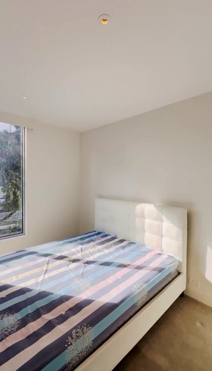 55 Jeffcott Street 0