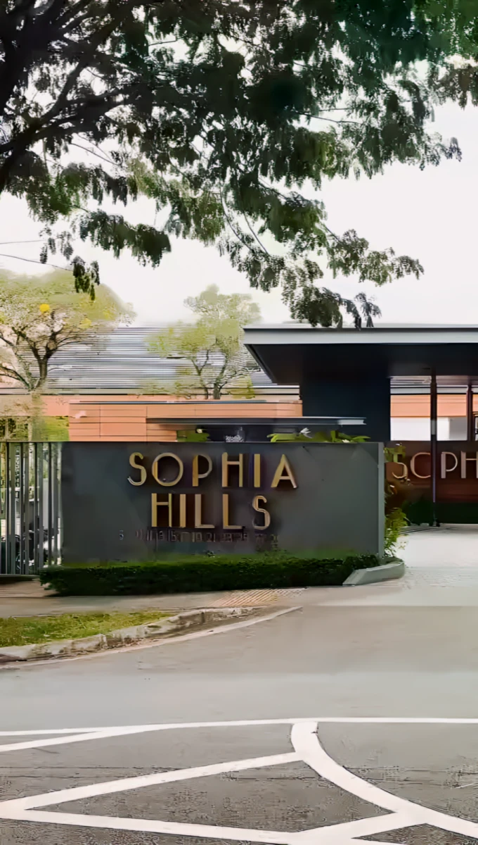 Sophia Hills 0