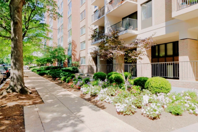 The Hamilton House 2