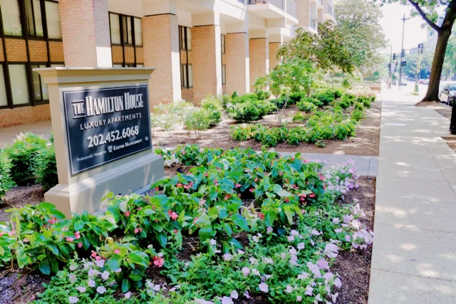 The Hamilton House 3