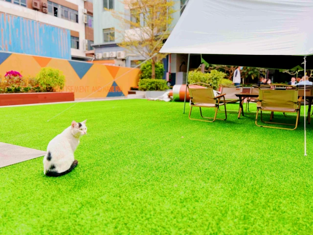 Fuyong Subway Station Store - LiYeah 2