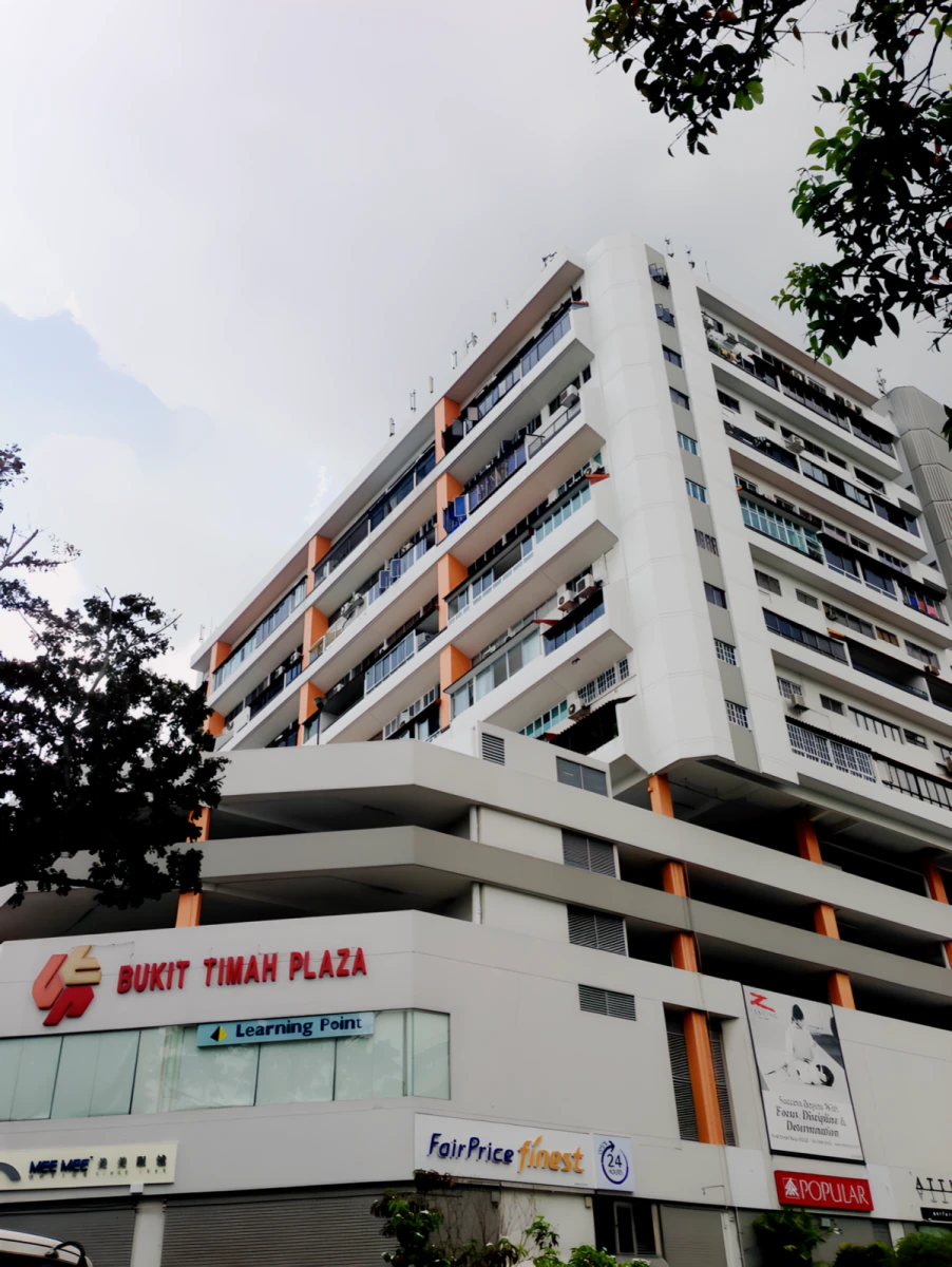 近SIM高级公寓Bukit Timah Plaza 0