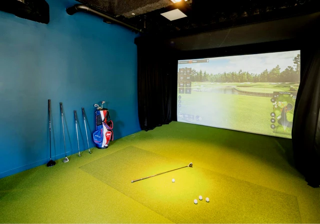 SOLO on Chestnut- 4233 3