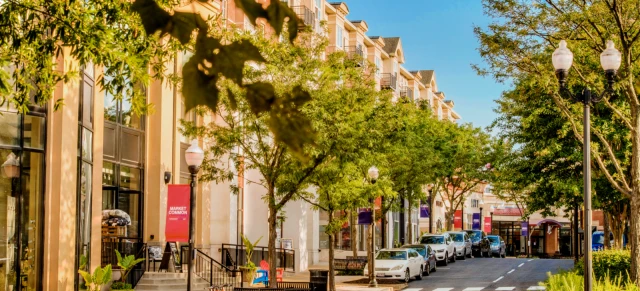 Avalon Clarendon 3