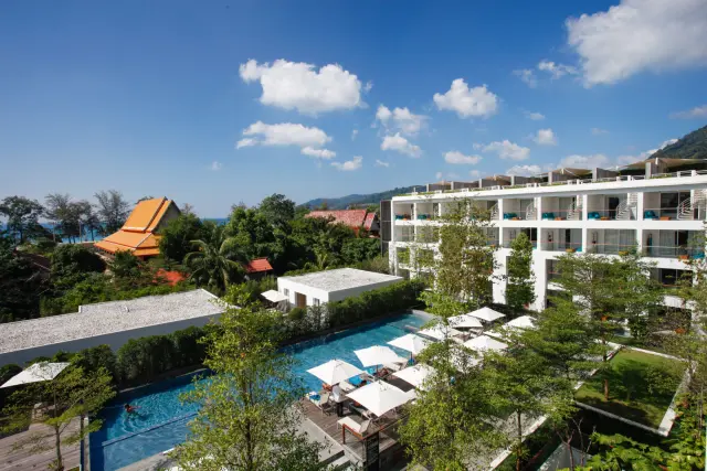 Nap Patong 0