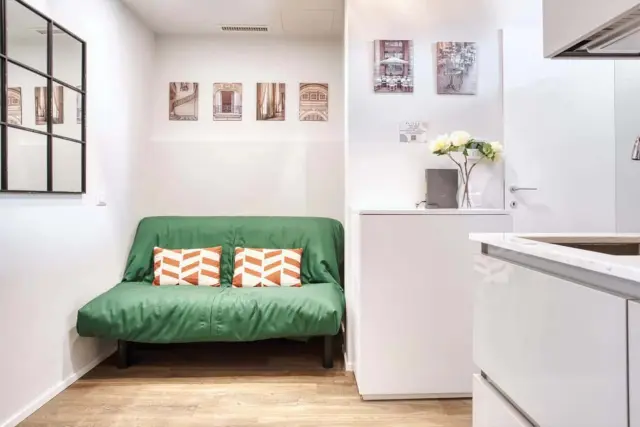 Apartment in Via Gaudenzio Ferrari 1