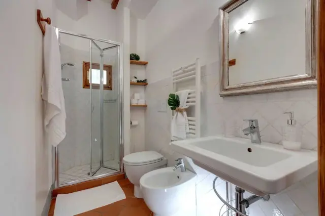 Zeno Apartment 2