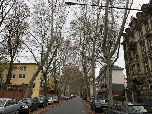 apartment near Am Tiergarten 2