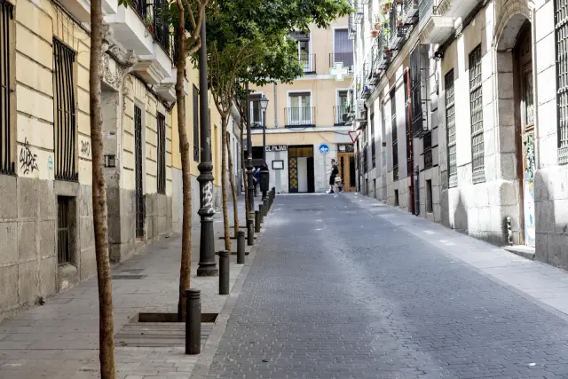 apartment in Malasaña Universidad (Centro) 1