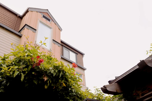 Kensington Place 2