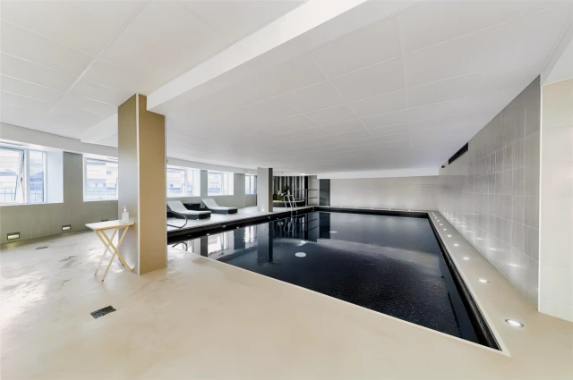 The Luxurious Penthouse 3