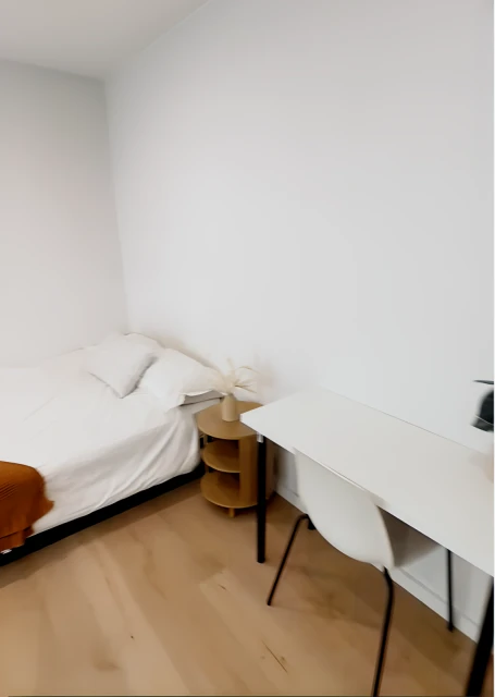 1265 Botany Rd 4
