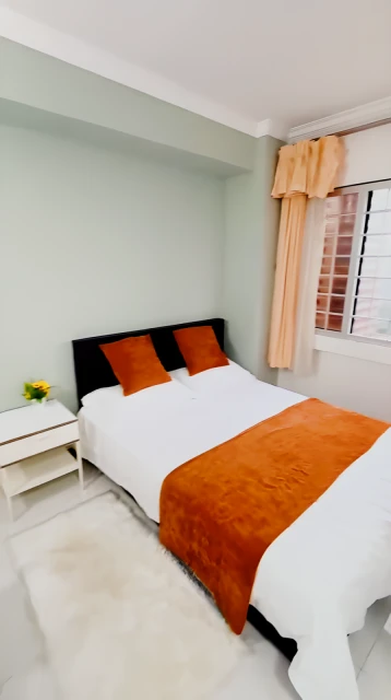 Lucky Plaza Apartment - X3 3