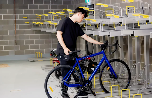 Accolade On Gibbons 3