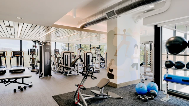 525 Olive Apartments 4