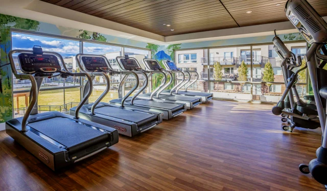 Parc Mosaic Apartment Homes 4