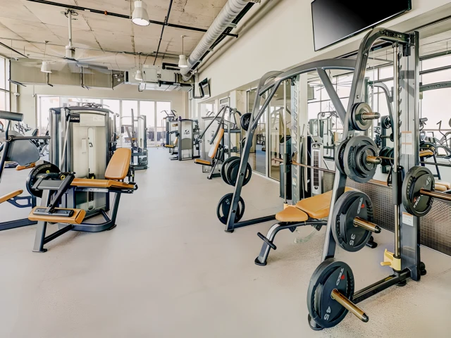 The Callaway House Austin 4