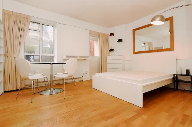 apartment in Kentish Town 4