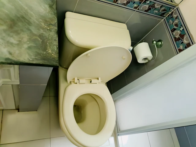 Royal Palm Mansions - C1 4