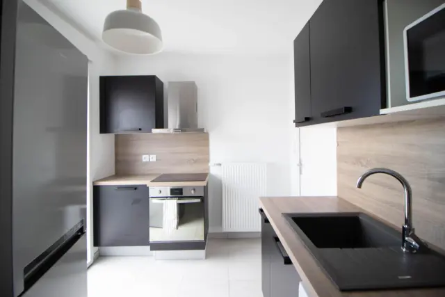 apartment near Cours Emile Zola 3