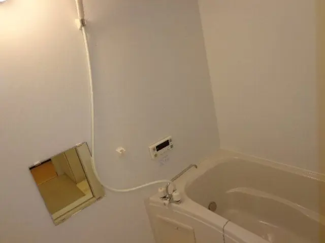 レオネクストＴ１ 106号室 4