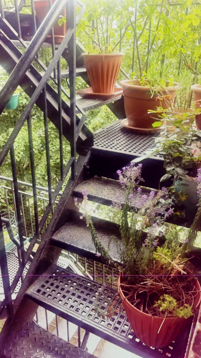 apartment near Streatham Court 0