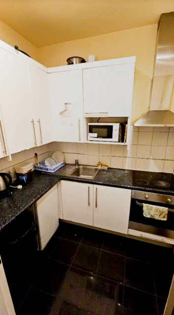 apartment in Wembley 3