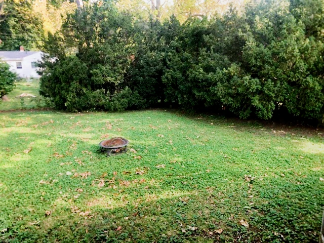 402 Buena Vista, Champaign, IL 61820 2