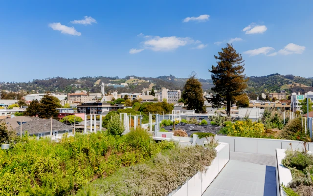 Garden Village Apartments Berkeley 4