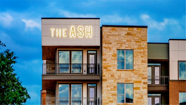The Ash 2