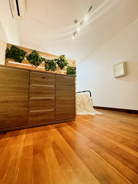 79 Jalan Lapang Villa near TMC/JCU/Kaplan 2