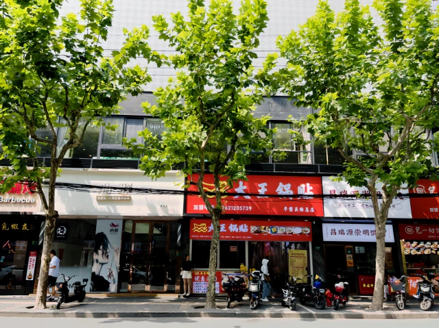 大寧西藏北路地鐵站店--城家公寓 1