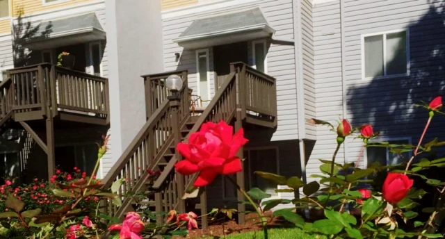 The Villages of Chapel Hill 1