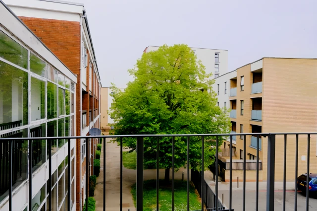 Robsart Street 26323# 3