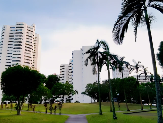 Ivory Heights - CE 1