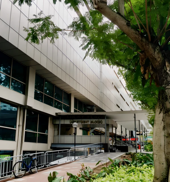 Lucky Plaza Apartment - JW