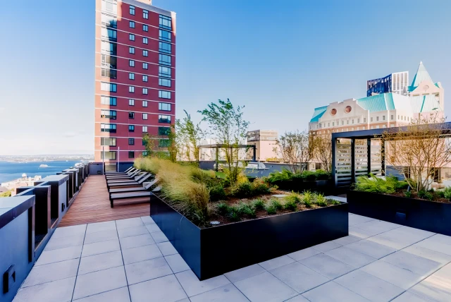 200 Montague - chỗ ở sinh viên tại New York - tầng mái