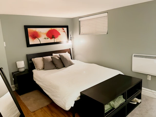 Furnished basement suite with food included 4