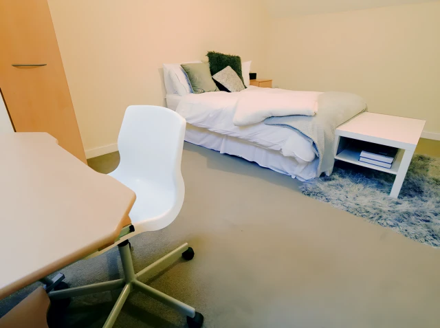 Hassells Bridge Apartments - 뉴캐슬 유나이티드 학생 숙소 - 4 Bed Apartment