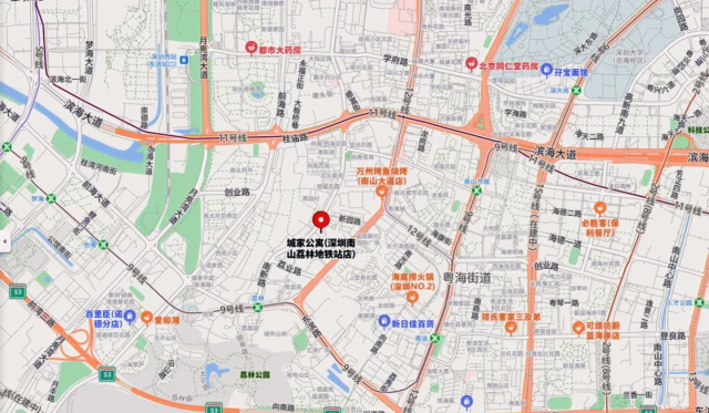 Nanshan Lilin Metro Station Store -- CJIA Apartment 1