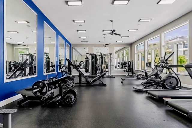 The Connection at Athens 4